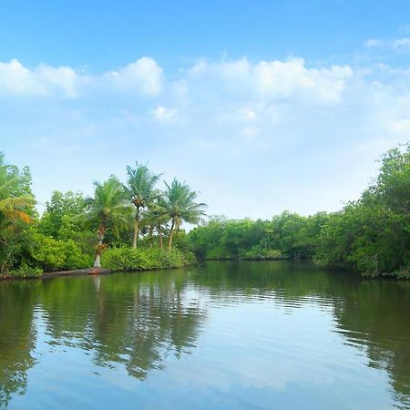 Global Lake Villa Hikkaduwa Esterno foto