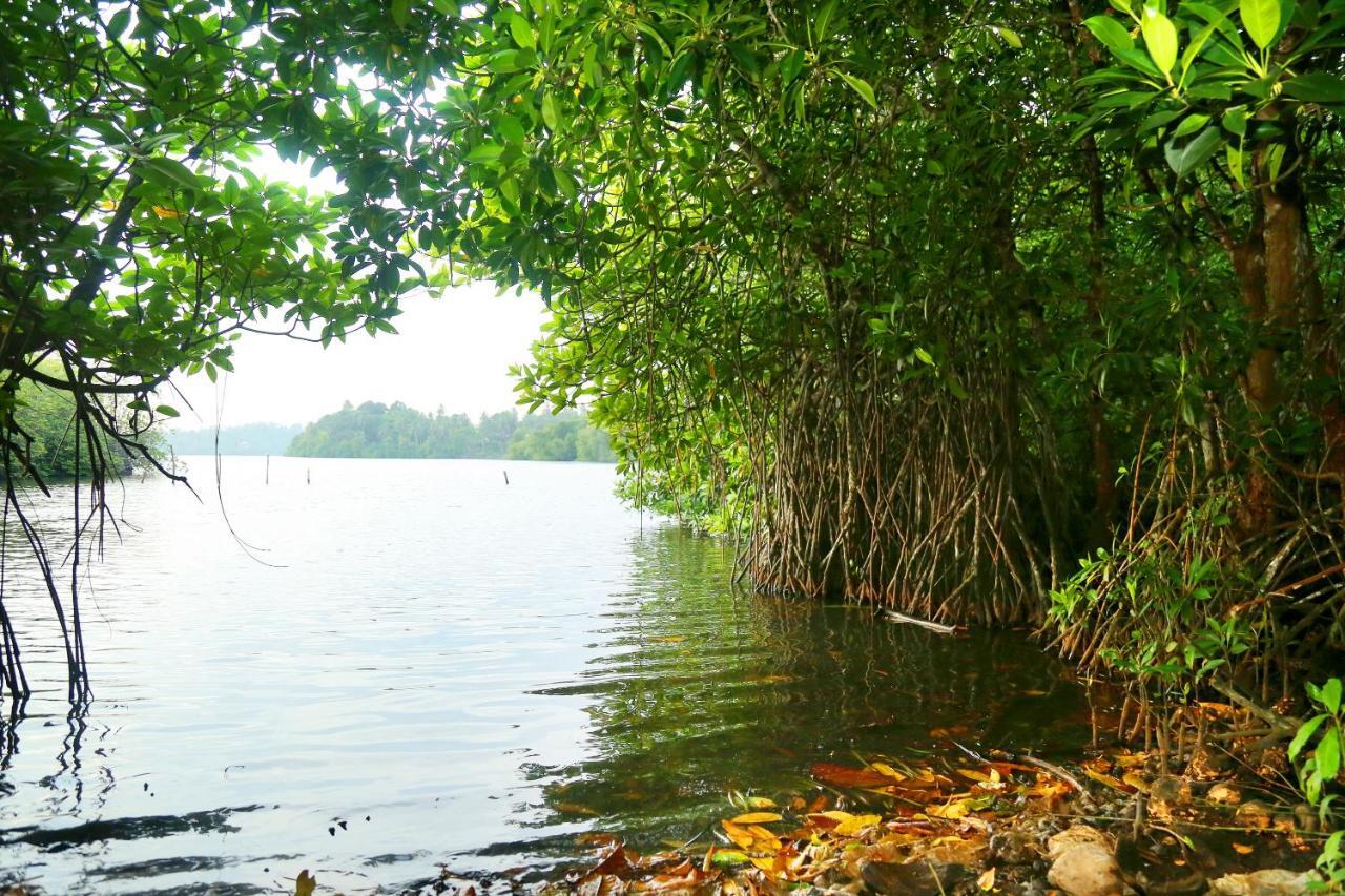 Global Lake Villa Hikkaduwa Esterno foto
