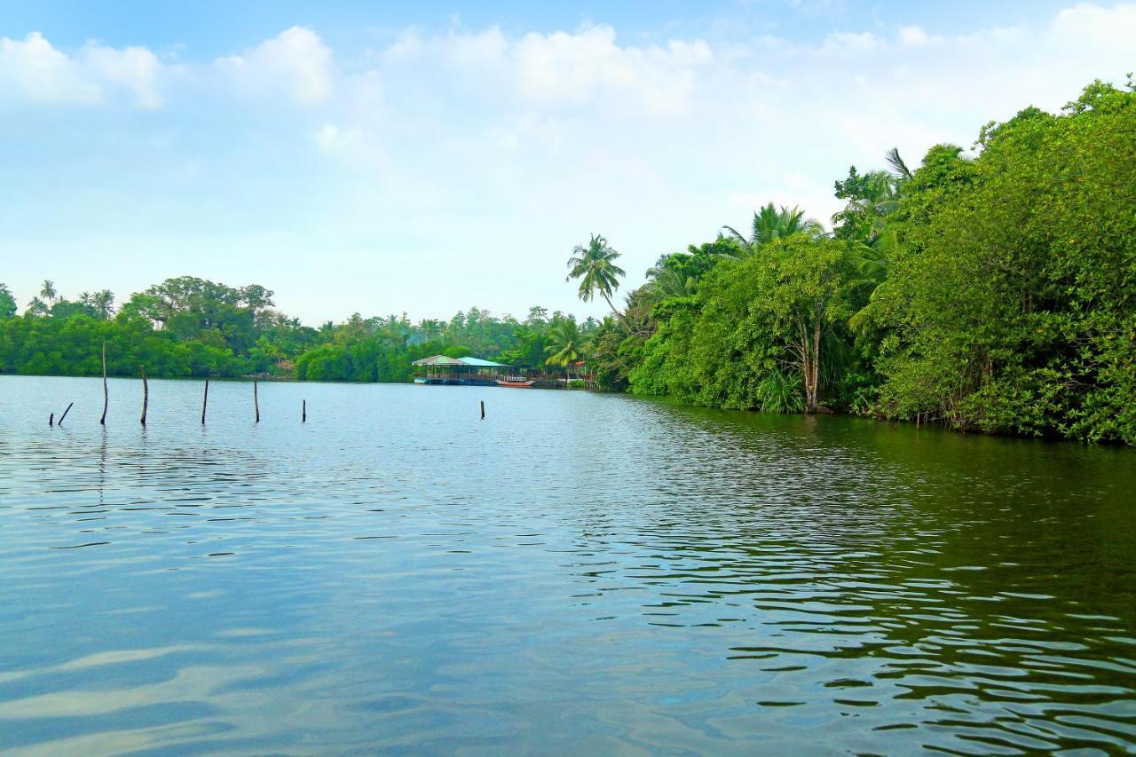 Global Lake Villa Hikkaduwa Esterno foto